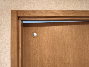 【閲覧注意】引きこもりワイ、部屋にうじ虫が沸いてくる