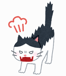 【画像】猫が来たｗｗｗｗｗ