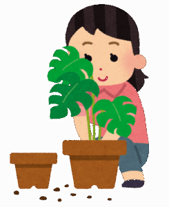 【朗報】植物、育ててみるとめちゃくちゃいい