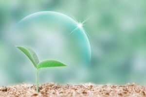 【悲報】40過ぎてから才能を開花させて成功した人物、存在しない