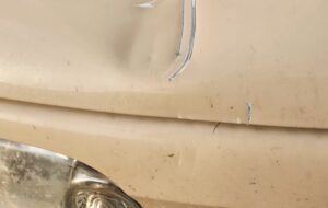 【動画】クマさん、軽自動車に襲いかかる