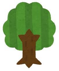 黒木メイサ(37)が14歳年下の男と交際←なんでこれ叩かれんの？