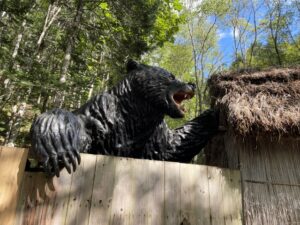 三毛別の熊の事件で葬儀中にヒグマが民家に入って来た理由