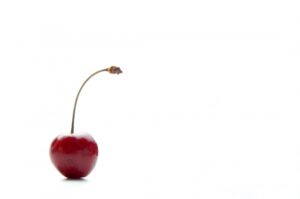 【画像】童貞が絶対に7番を選んでしまう画像、発見されるｗｗｗｗｗｗｗｗｗｗｗｗｗｗｗｗｗｗｗｗｗｗｗｗｗｗｗｗｗｗｗｗｗｗｗｗ