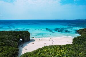 【画像】地上波さん、ギリギリ水着の女性を映してしまう