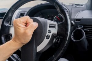 【動画】車のクラクション、キチガイ召喚装置だったｗｗｗｗｗｗｗｗ