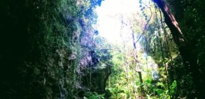 日本に残る秘境村で打線組んだ