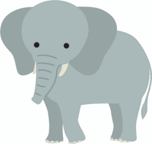 【顔面骨折・踏まれたか…】市原ぞうの国でタイ人男性ゾウ使いが亡くなる…